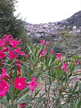 11- 2019-09-21 at 20.42.18 (1).jpeg